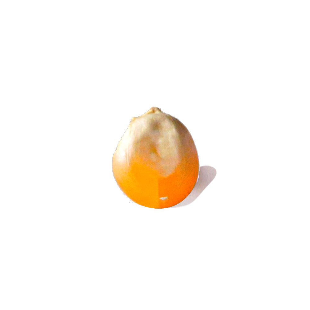 Pat Mısır 750gr