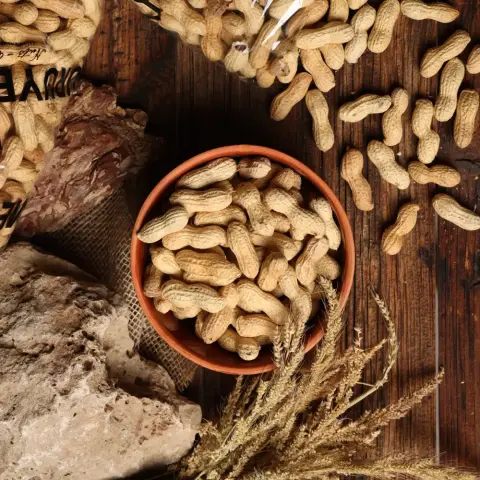 Çiğ Kabuklu Fıstık Yerli 500gr