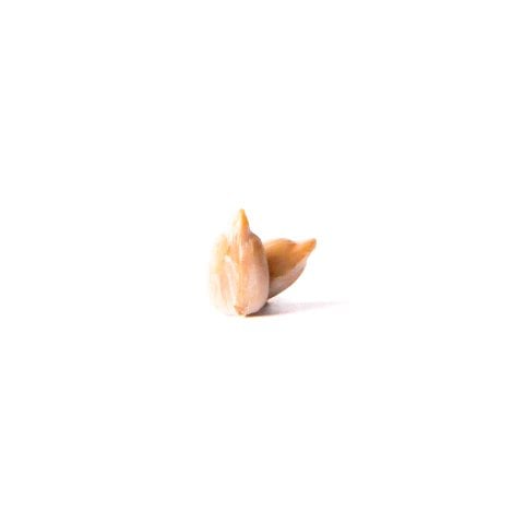 İç Ayçekirdek Çiğ 200gr