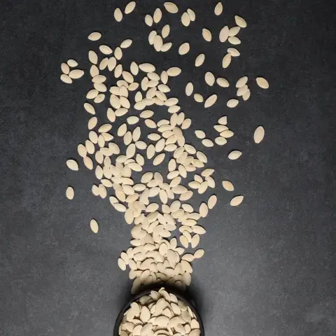 Çiğ Kabak Sivri 350 gr